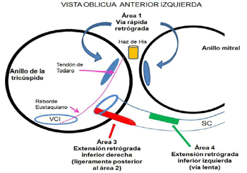 Figura 4